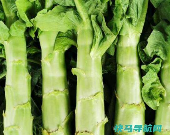 莴笋黄瓜做好吃？莴笋变软了还能吃吗？